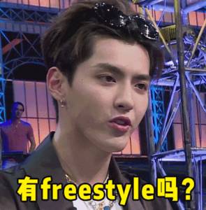 freestyle什么意思的简单介绍