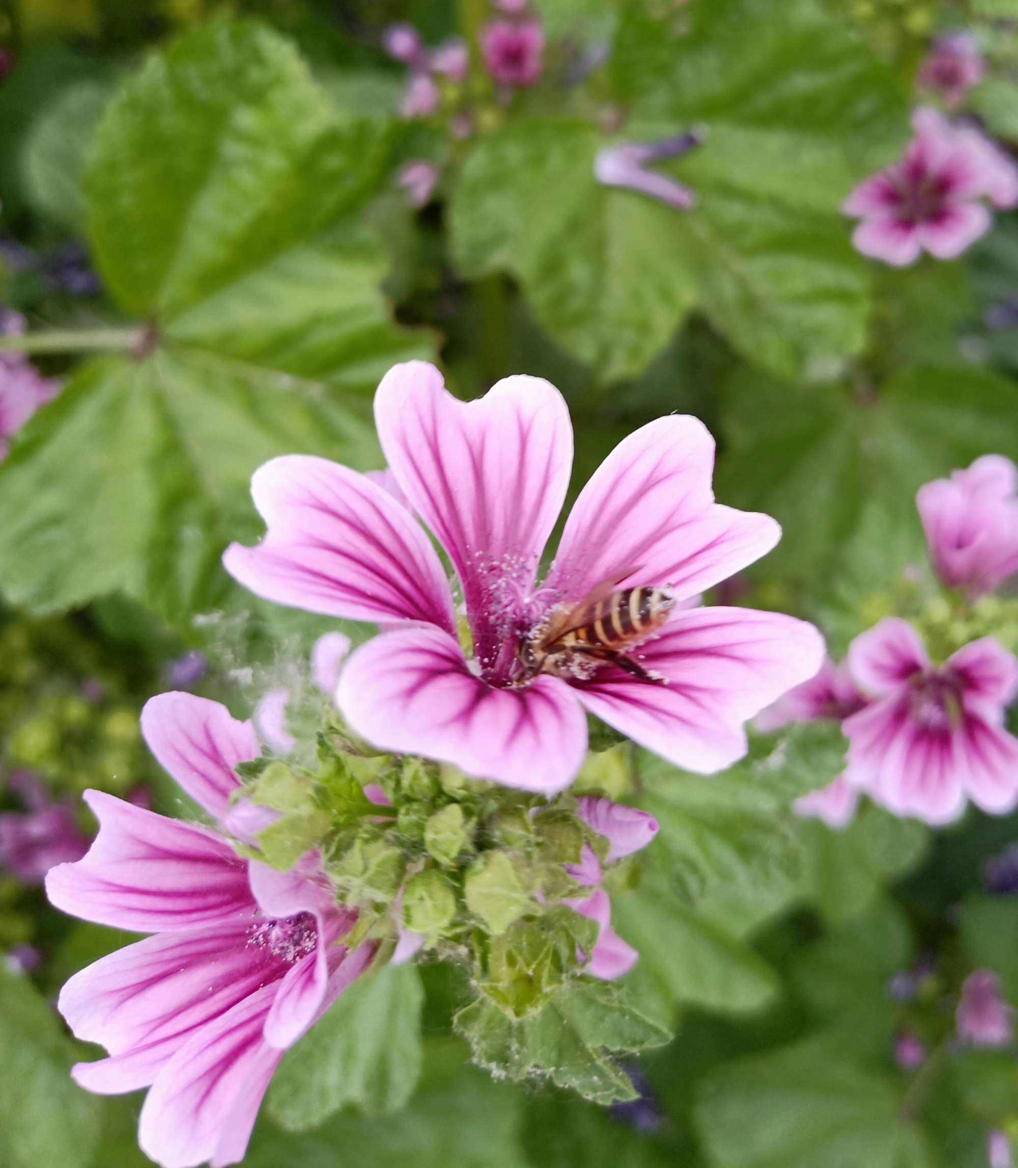 {捕魚機}(野花社区日本最新午夜精品)